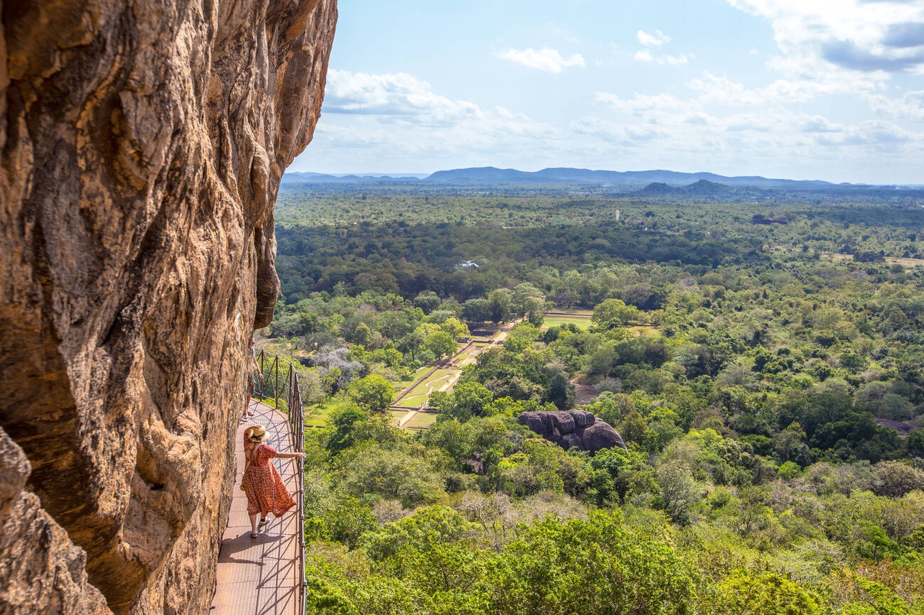 Journey into the Wild 2